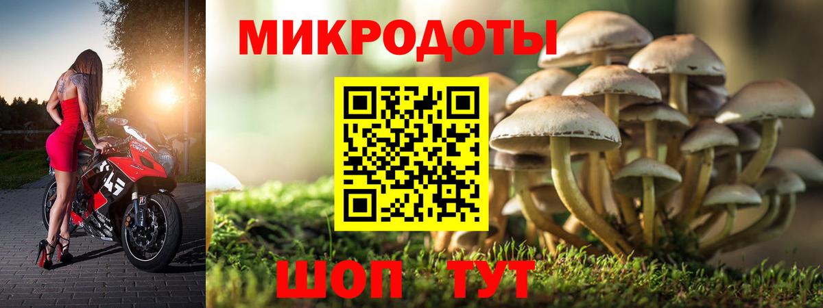 Керчь  Галлюциногенные грибы ЛСД  хочу   Вход с VPN  Псилоцибиновые грибы GOLDEN TEACHER 