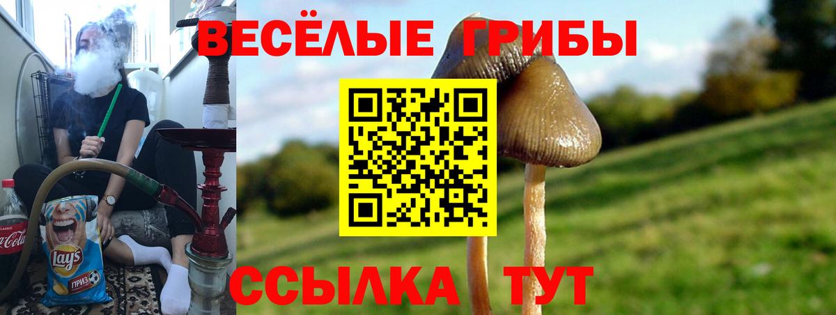 Псилоцибиновые грибы ЛСД Керчь